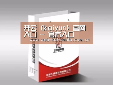 项目名称十三