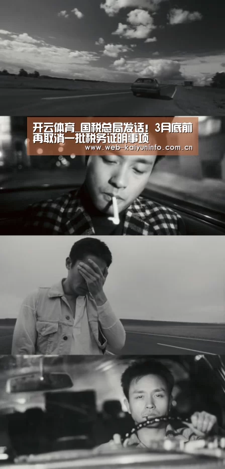 开云体育_国税总局发话!3月底前再取消一批税务证明事项(图2) 开云体育