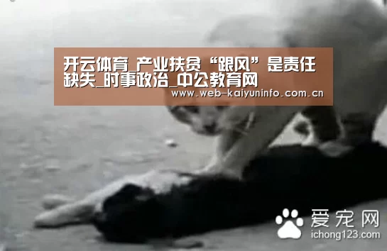 开云体育